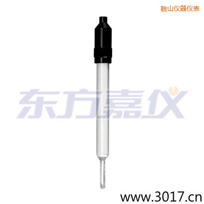 鞍山玻璃外殼無溫補(bǔ)兩線電導(dǎo)率電極