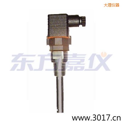 大理含有溫度的兩線電導(dǎo)率電極