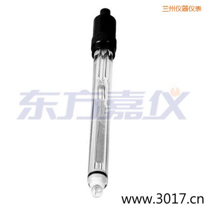 蘭州玻璃外殼純水電極