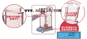 �������M����ƽ,210g,0.01g