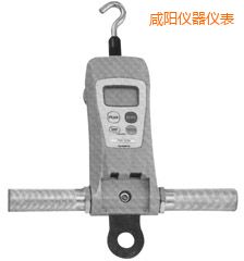 咸陽高荷重型 FGC-HB/FGN-HB 系列數(shù)顯推拉力計(jì)